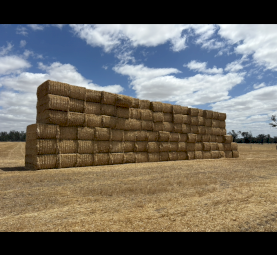 Oaten Hay 