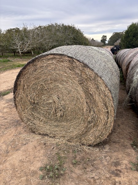 20 x Lucerne Hay Round Bales