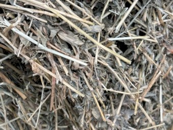 20 x Lucerne Hay Round Bales
