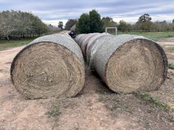 20 x Lucerne Hay Round Bales