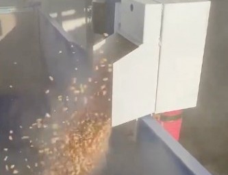 Flexile Grain auger 