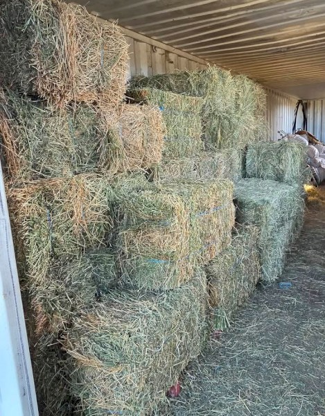 Lucerne Big squares and small squares available 