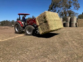 8x4x3 Big bales of oaten hay