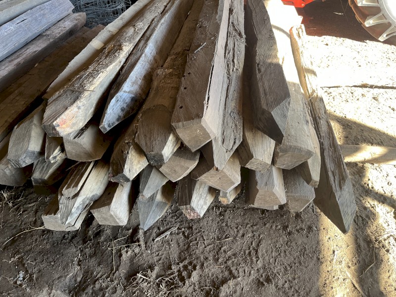 Timber Posts x 60