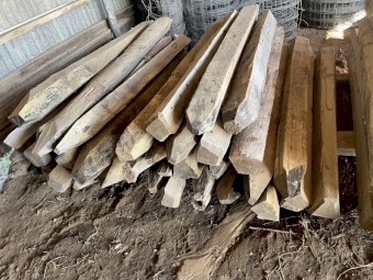 Timber Posts x 60