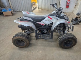 4 Wheel Ag Bike - 110cc
