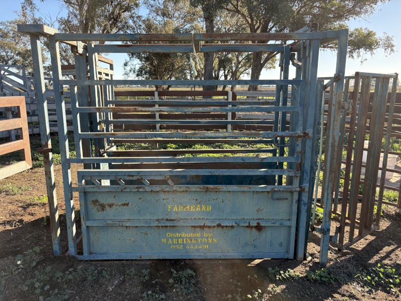 Cattle Crush With weigh Floor