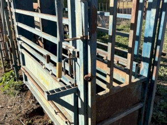 Cattle Crush With weigh Floor