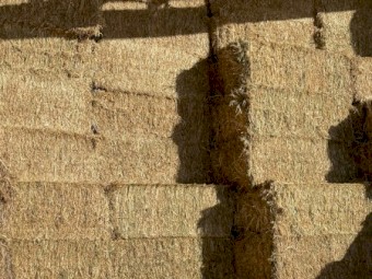 Oaten hay