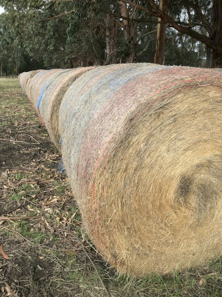 200+ Pasture Hay Mix Rolls, ryegrass rolls, oat/ryegrass rolls