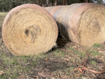200+ Pasture Hay Mix Rolls, ryegrass rolls, oat/ryegrass rolls