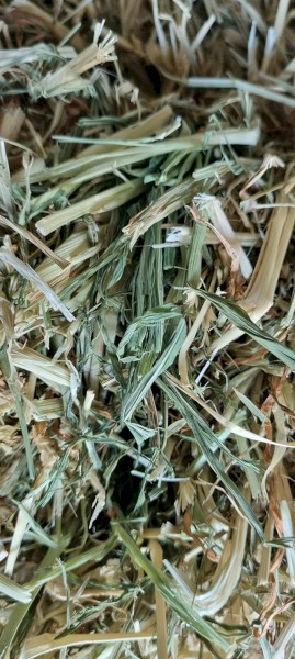 60 x Awnless Barley 4x4 Round Bales