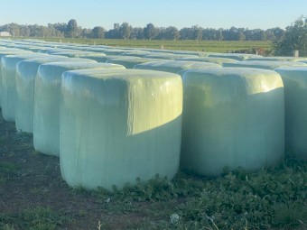 150 x Lucerne 540kg 4x4 Silage Round Bales