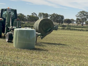 Lucerne silage 26 season