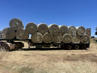 Pasture Hay Rolls