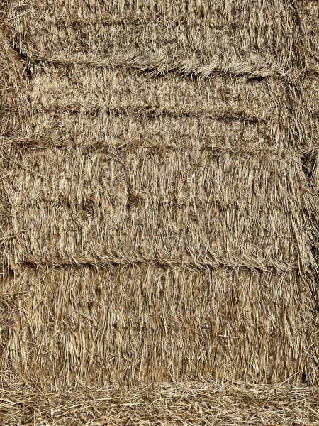 Wheaten Straw 8X4X3 Bales