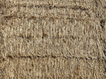 Wheaten Straw 8X4X3 Bales