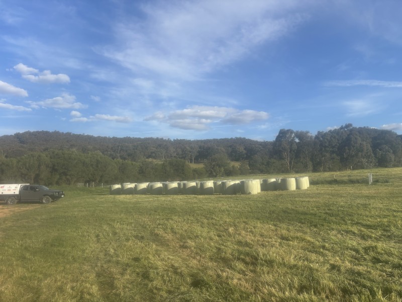 Silage - rounds - Wang/Benalla