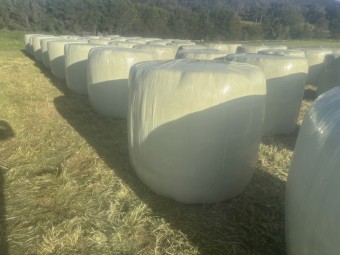 Silage - rounds - Wang/Benalla