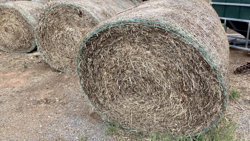 Pure Balansa Clover Hay