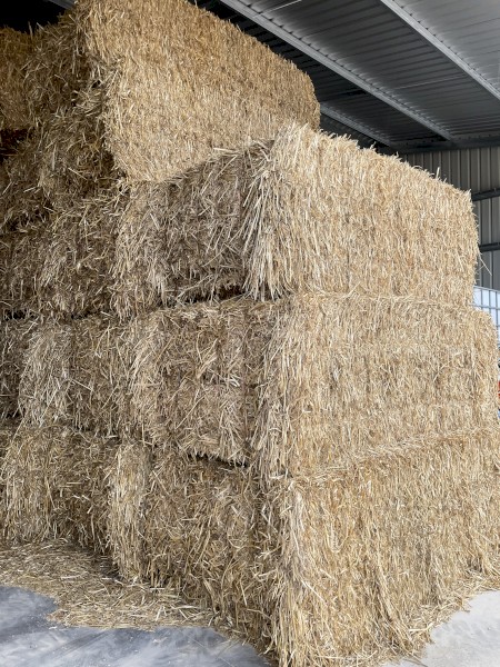 2025 king bale oaten hay