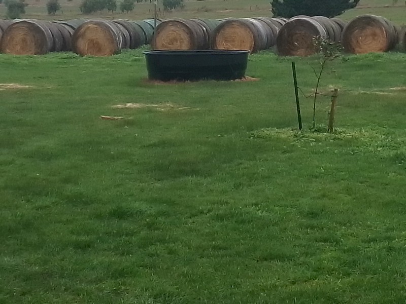 45 x Oat/Rye  & 150 x Rye Hay 5x4 Rolls 