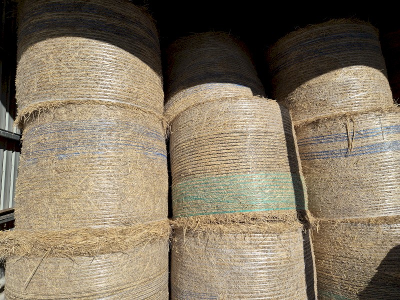 Oaten Hay