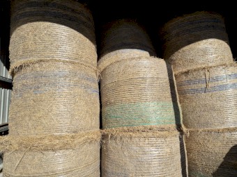 Oaten Hay