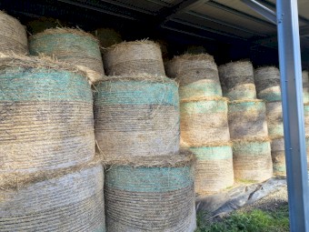 Oaten Hay
