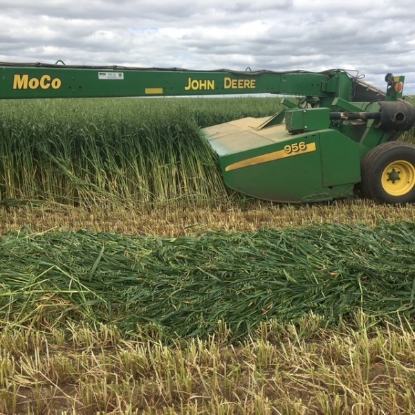 John Deere Moco 956 2011
