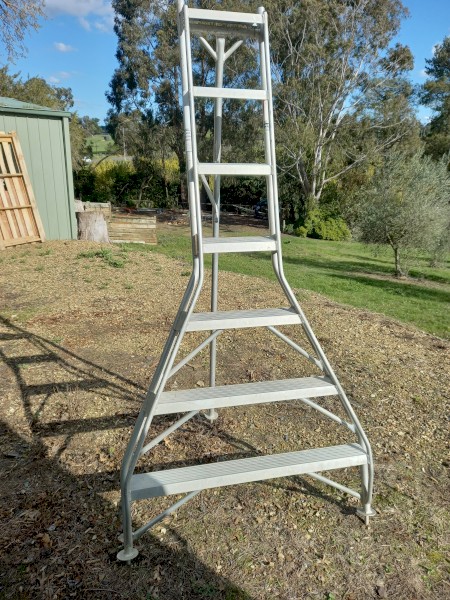 Allweld orchard ladder