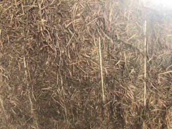 250mt Vetch Hay 8x4x3 Bales