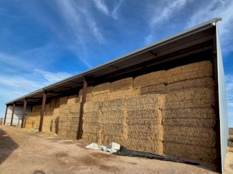 Barley Hay 2025 - A2 Quality