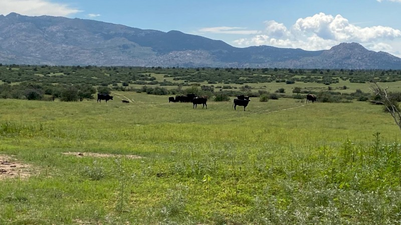     Motivated Young Farmer Looking for Lease Country