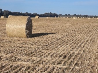 Oaten hay 5x4 rounds