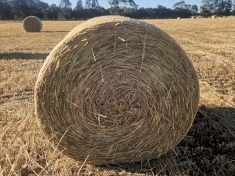 Oaten hay 5x4 rounds