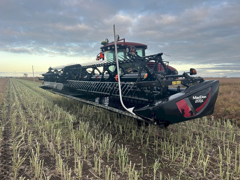 macdon d135XL