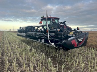 macdon d135XL