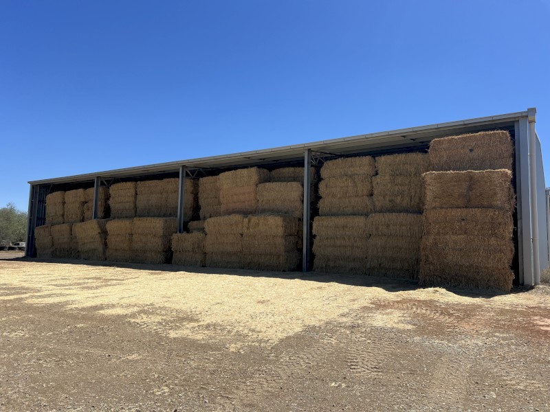 500mt Barley Straw 8x4x3 Bales