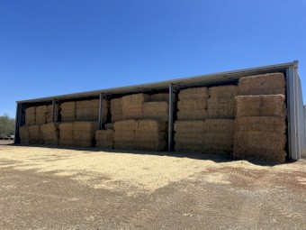 Barley straw