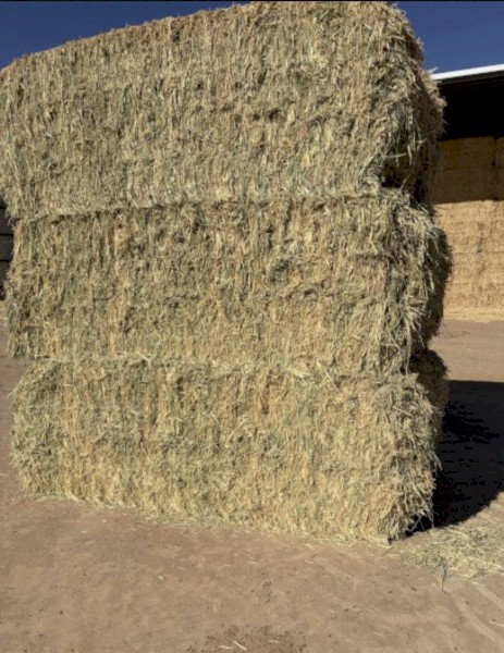 75MT Oaten Hay 8x4x3 Bales