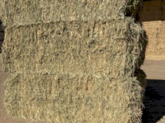 75MT Oaten Hay 8x4x3 Bales