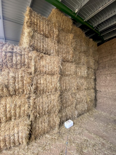 700mt Oaten Hay 8x4x3 Bales
