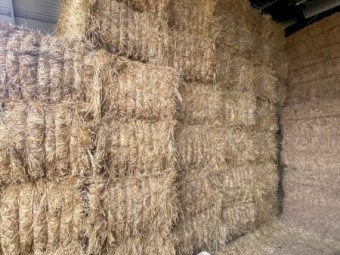 Oaten hay