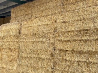 700mt Oaten Hay 8x4x3 Bales
