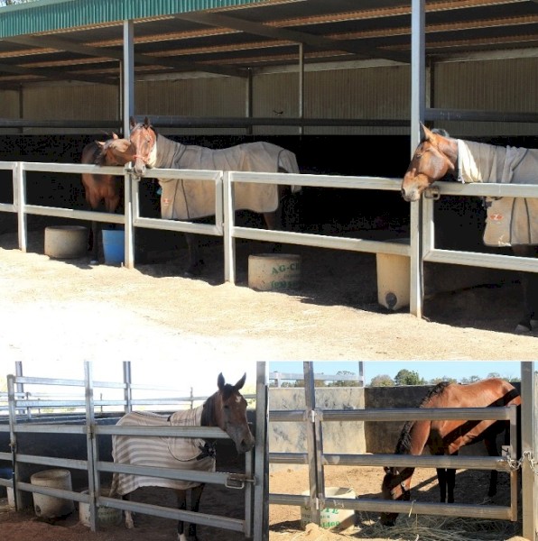 Round 2ft Diameter Water Trough for Cattle & Horses. 100Lt capacity.
