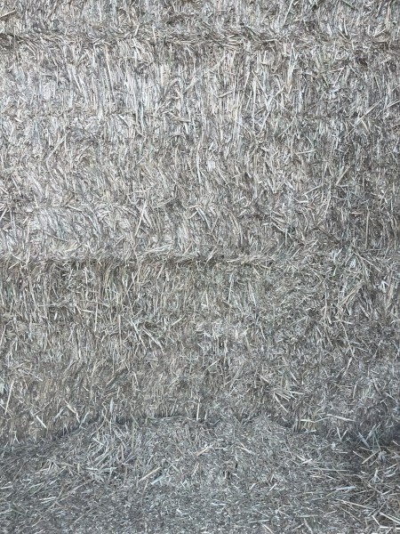 Wheaten hay