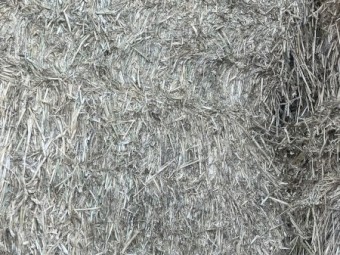 Wheaten hay