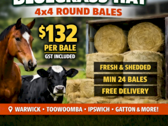 Bluegrass Hay 4x4 Rounds