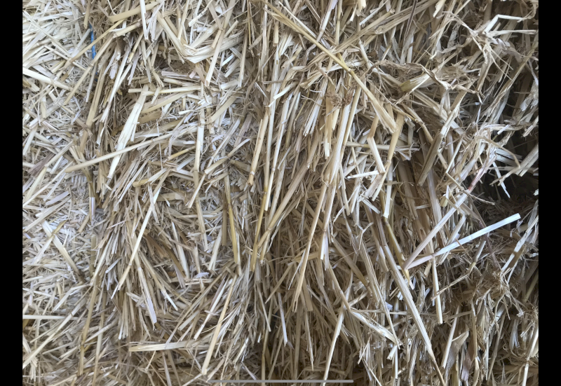 50mt Barley Straw 8x4x3 Bales